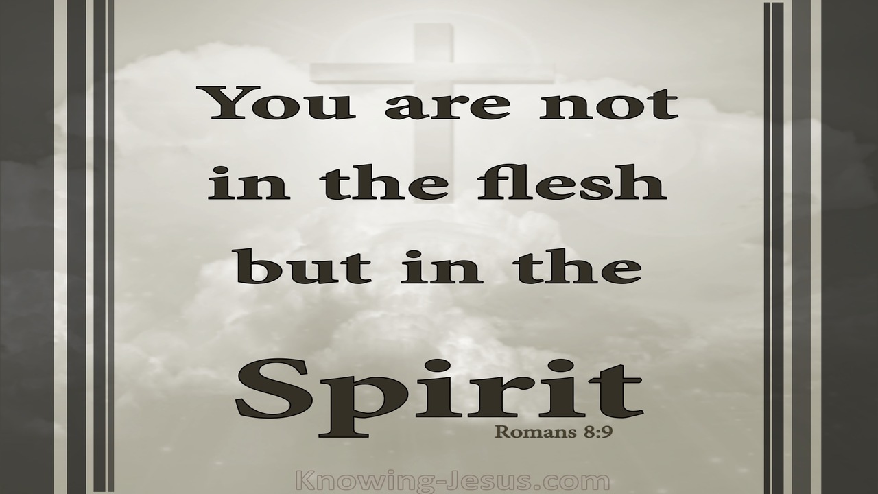 Romans 8:9 Not In The Flesh But In The Spirit (gray)